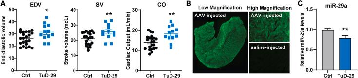 https://cdn.ncbi.nlm.nih.gov/pmc/blobs/6459/10726423/aa6440fb95ab/gr5.jpg