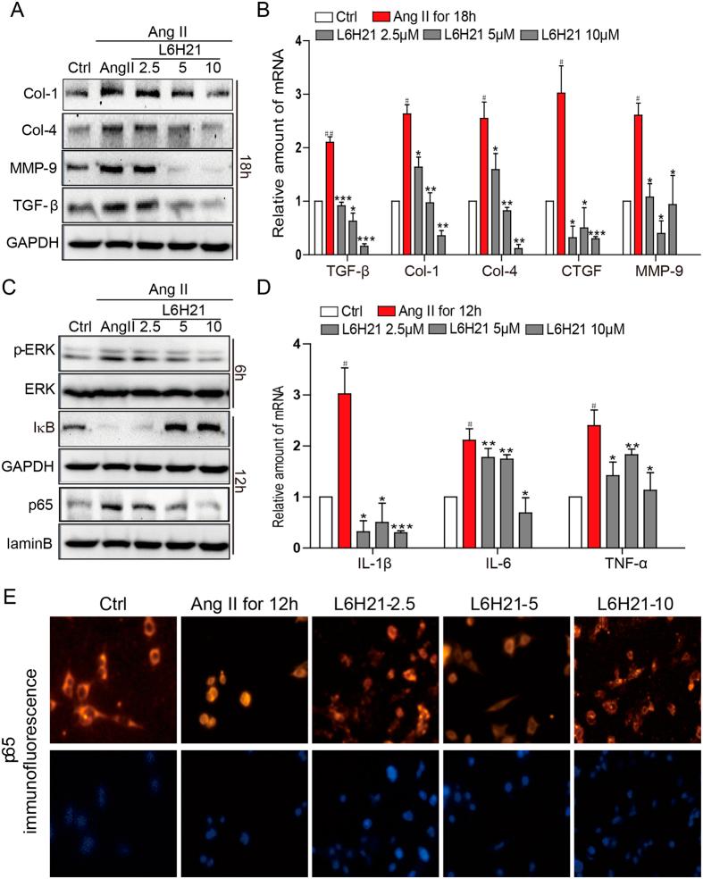 https://cdn.ncbi.nlm.nih.gov/pmc/blobs/6459/5359637/724fd4fdff4b/srep44911-f3.jpg