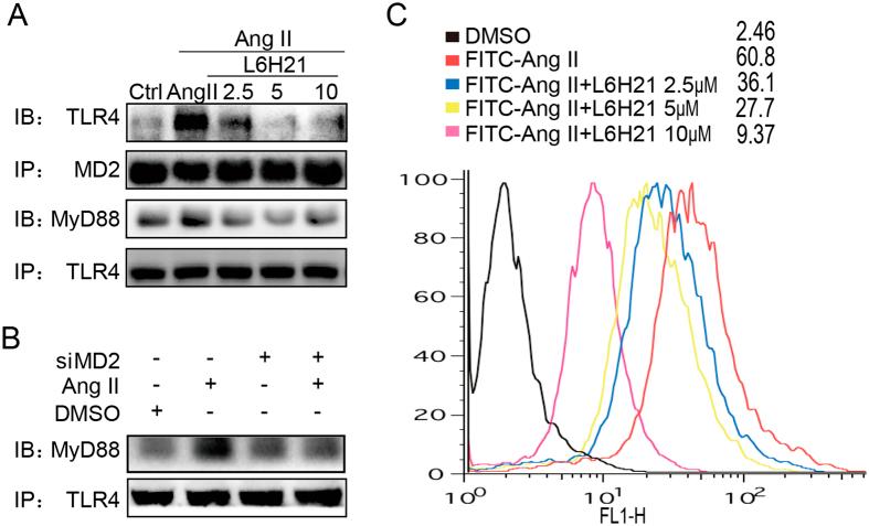 https://cdn.ncbi.nlm.nih.gov/pmc/blobs/6459/5359637/8f6169747339/srep44911-f5.jpg