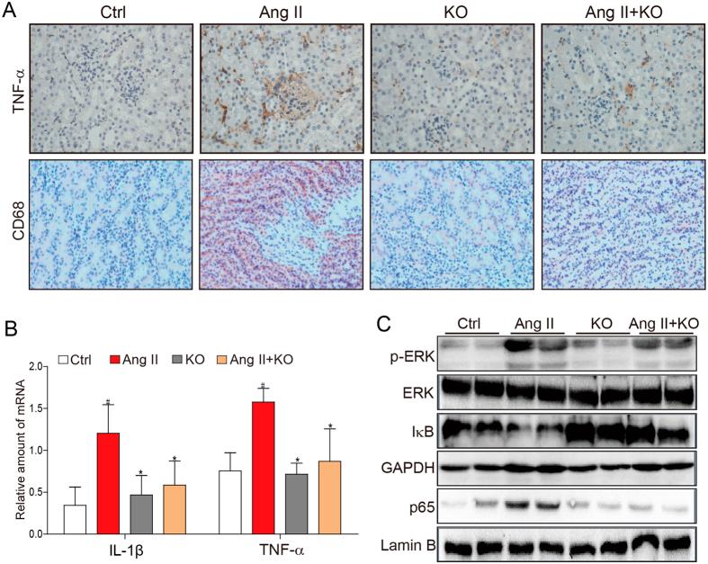https://cdn.ncbi.nlm.nih.gov/pmc/blobs/6459/5359637/9027a520f460/srep44911-f2.jpg