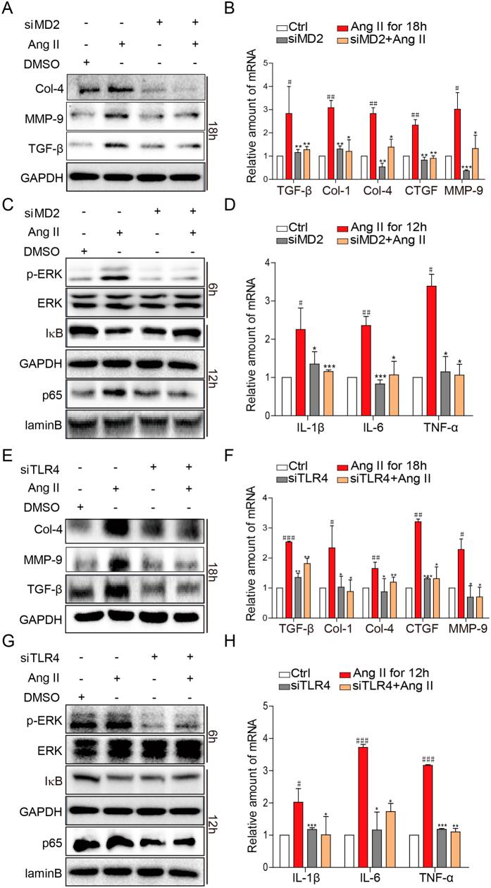 https://cdn.ncbi.nlm.nih.gov/pmc/blobs/6459/5359637/ef56f53d098f/srep44911-f4.jpg