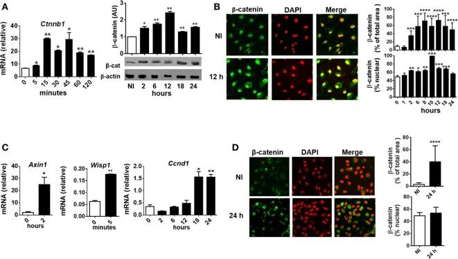 https://cdn.ncbi.nlm.nih.gov/pmc/blobs/645a/5930390/1ee373fa4051/fimmu-09-00859-g003.jpg