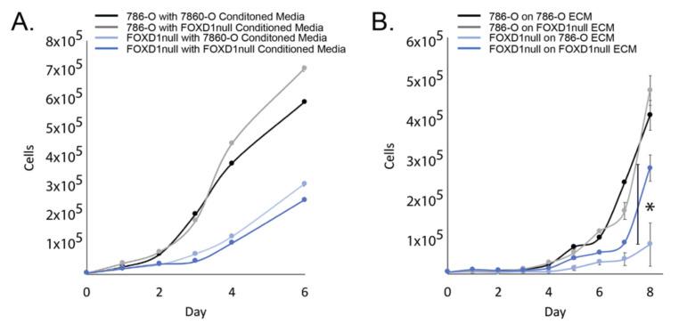 https://cdn.ncbi.nlm.nih.gov/pmc/blobs/645a/9406217/01e9cbe305e3/cancers-14-03958-g002.jpg