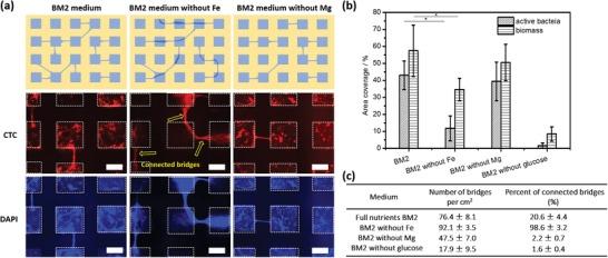 https://cdn.ncbi.nlm.nih.gov/pmc/blobs/645d/6662098/0a907fb422f9/ADVS-6-1900519-g007.jpg