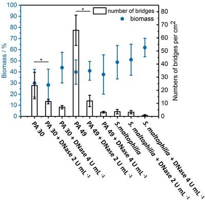 https://cdn.ncbi.nlm.nih.gov/pmc/blobs/645d/6662098/10f7cb947622/ADVS-6-1900519-g005.jpg
