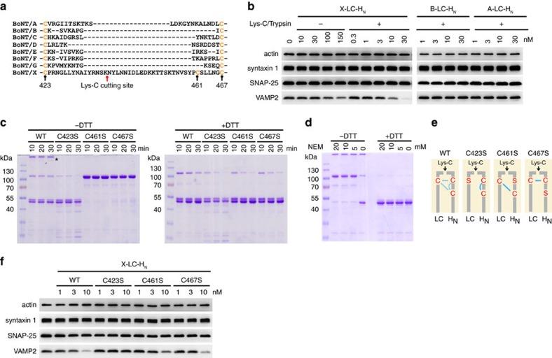 https://cdn.ncbi.nlm.nih.gov/pmc/blobs/6462/5543303/c26c4cac0a98/ncomms14130-f3.jpg