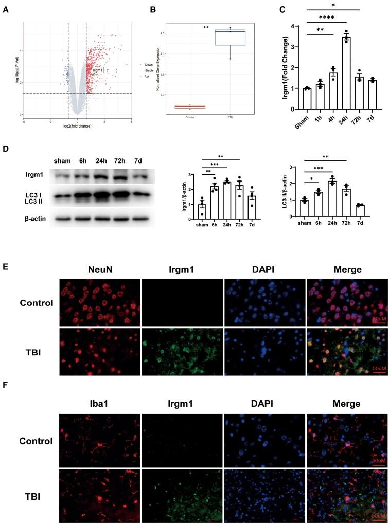 https://cdn.ncbi.nlm.nih.gov/pmc/blobs/6464/11518936/4328162ea04b/pgae457f3.jpg
