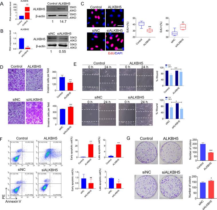 https://cdn.ncbi.nlm.nih.gov/pmc/blobs/6464/7801648/1f90971bd4dd/41419_2020_3315_Fig2_HTML.jpg