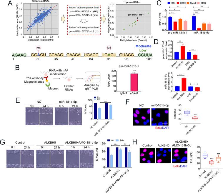 https://cdn.ncbi.nlm.nih.gov/pmc/blobs/6464/7801648/2192da58f03d/41419_2020_3315_Fig3_HTML.jpg