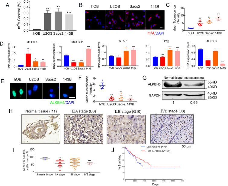 https://cdn.ncbi.nlm.nih.gov/pmc/blobs/6464/7801648/eff1c49c28de/41419_2020_3315_Fig1_HTML.jpg