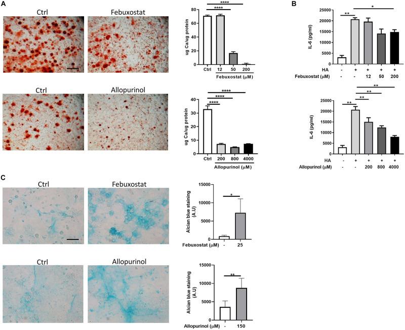https://cdn.ncbi.nlm.nih.gov/pmc/blobs/6466/7900416/818e745c64a4/fcell-09-612440-g002.jpg