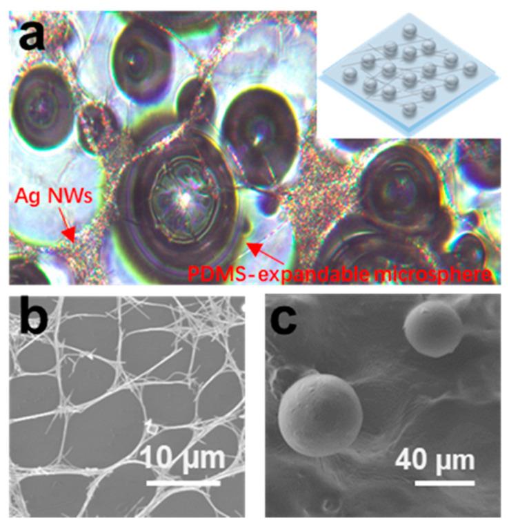 https://cdn.ncbi.nlm.nih.gov/pmc/blobs/6466/8226861/3e3162a755d3/sensors-21-03969-g010.jpg