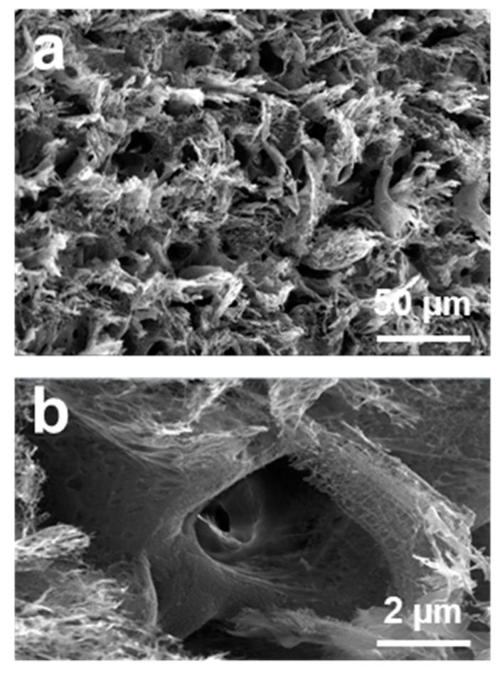 https://cdn.ncbi.nlm.nih.gov/pmc/blobs/6466/8226861/5a1abfc6dd50/sensors-21-03969-g003.jpg