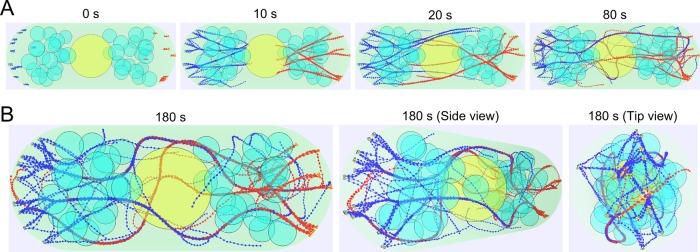 https://cdn.ncbi.nlm.nih.gov/pmc/blobs/6467/4230589/bcb699241e82/3006fig2.jpg