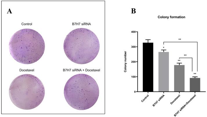 https://cdn.ncbi.nlm.nih.gov/pmc/blobs/6469/10460818/8173c414583d/apb-13-573-g008.jpg
