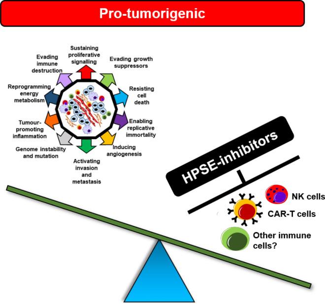 https://cdn.ncbi.nlm.nih.gov/pmc/blobs/6469/7706218/8dcd3ca3e36a/12967_2020_2624_Fig4_HTML.jpg