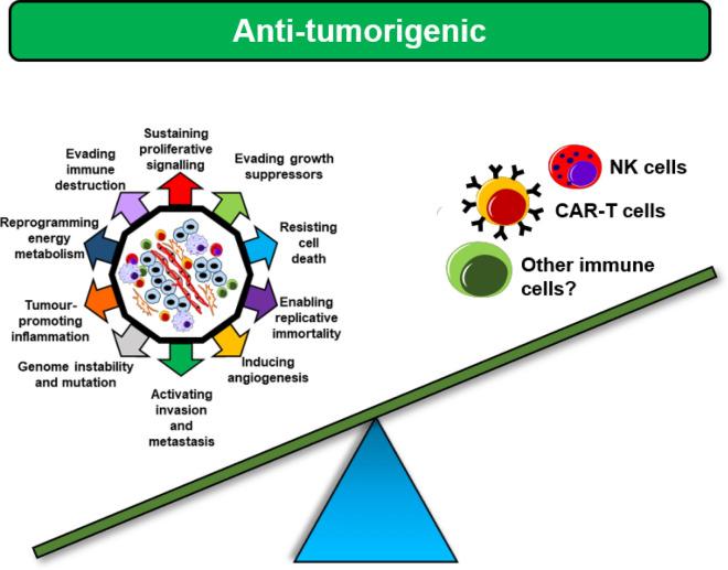 https://cdn.ncbi.nlm.nih.gov/pmc/blobs/6469/7706218/9e540122bf80/12967_2020_2624_Fig3_HTML.jpg
