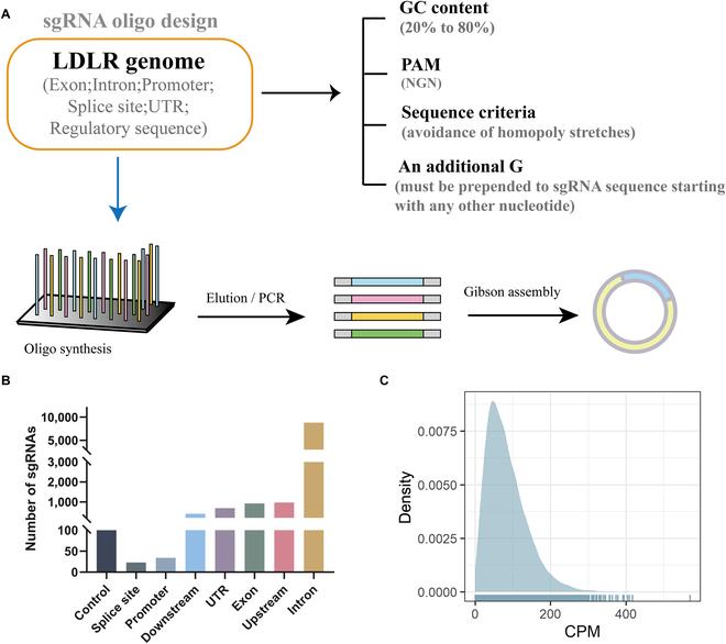 https://cdn.ncbi.nlm.nih.gov/pmc/blobs/646a/10368174/452a1f30f412/research.0203.fig.001.jpg