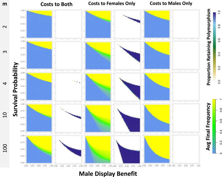 https://cdn.ncbi.nlm.nih.gov/pmc/blobs/646a/12002796/9e451deef05c/elife-93338-fig3-figsupp1.jpg