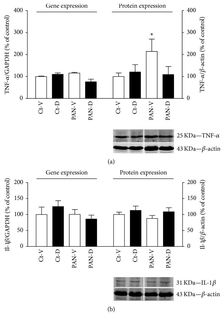 https://cdn.ncbi.nlm.nih.gov/pmc/blobs/646a/5828333/045a5f68fe81/BMRI2018-3609645.005.jpg