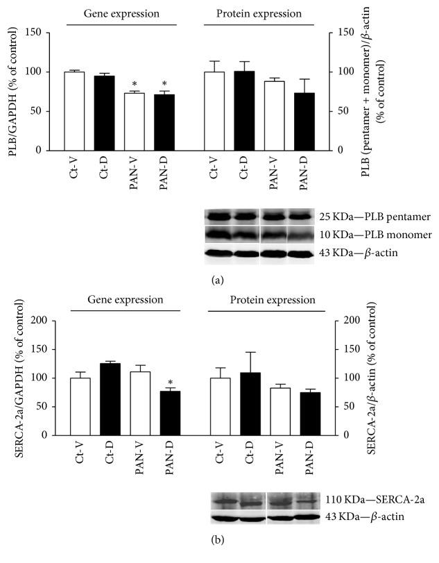 https://cdn.ncbi.nlm.nih.gov/pmc/blobs/646a/5828333/fe09a47b2c55/BMRI2018-3609645.002.jpg