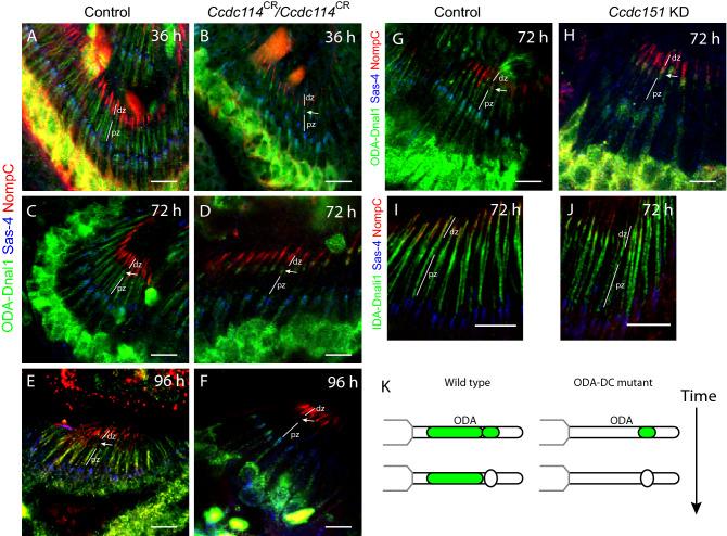 https://cdn.ncbi.nlm.nih.gov/pmc/blobs/646e/9349282/400d4c3c9bf3/41598_2022_17189_Fig6_HTML.jpg