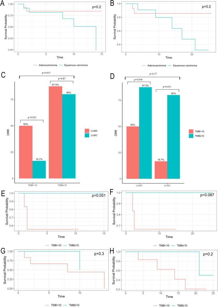 https://cdn.ncbi.nlm.nih.gov/pmc/blobs/646f/11645897/34b097c6a0ee/CMAR-16-1759-g0004.jpg