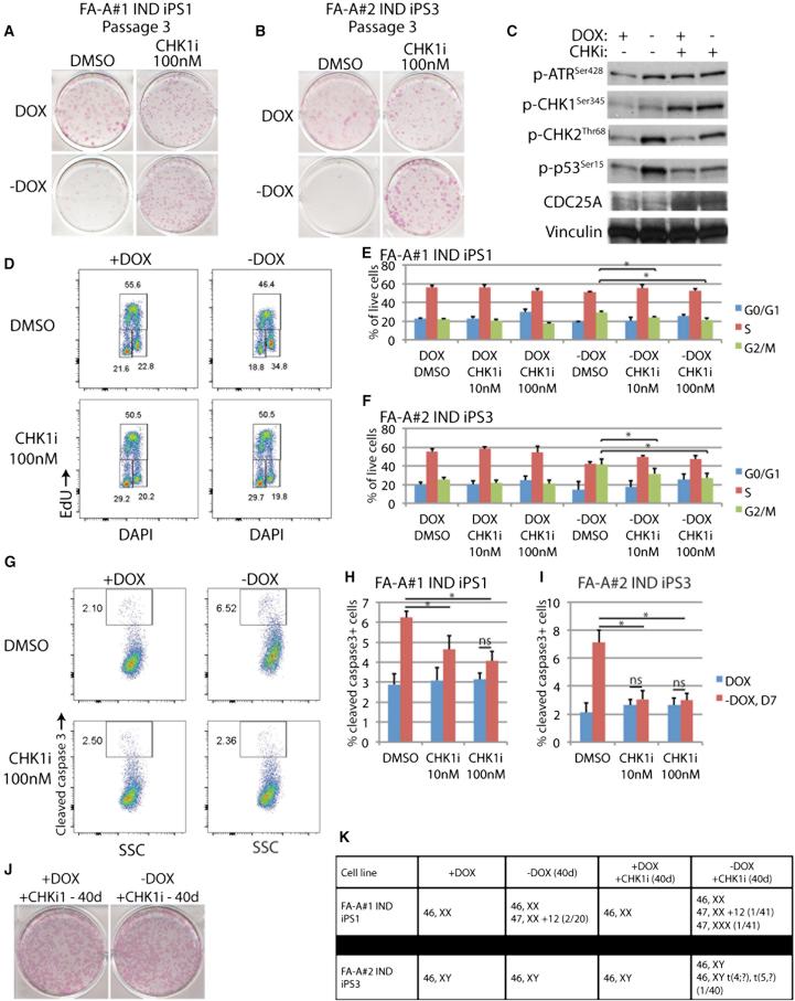 https://cdn.ncbi.nlm.nih.gov/pmc/blobs/646f/4719133/0af4f903b5a7/gr4.jpg