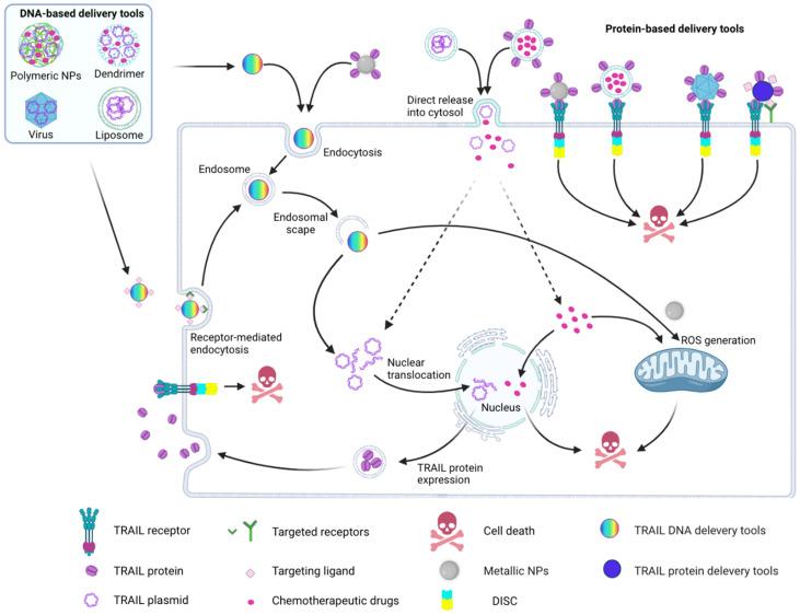 https://cdn.ncbi.nlm.nih.gov/pmc/blobs/6470/9600485/3eb6d25fe6dd/cancers-14-05125-g003.jpg