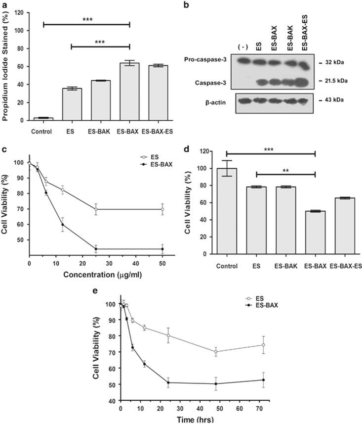 https://cdn.ncbi.nlm.nih.gov/pmc/blobs/6473/4454297/d33756b584ec/cddis2014309f3.jpg
