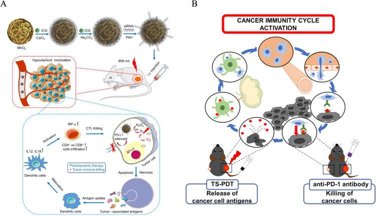 https://cdn.ncbi.nlm.nih.gov/pmc/blobs/6474/12209404/d76d23f3cc51/IJN-20-8221-g0002.jpg