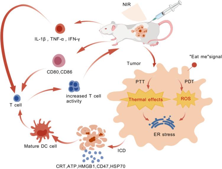 https://cdn.ncbi.nlm.nih.gov/pmc/blobs/6474/12209404/dce637f606cb/IJN-20-8221-g0001.jpg