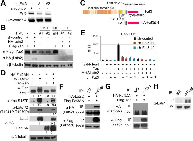 https://cdn.ncbi.nlm.nih.gov/pmc/blobs/6474/9427758/91381e83be7a/41598_2022_19029_Fig4_HTML.jpg