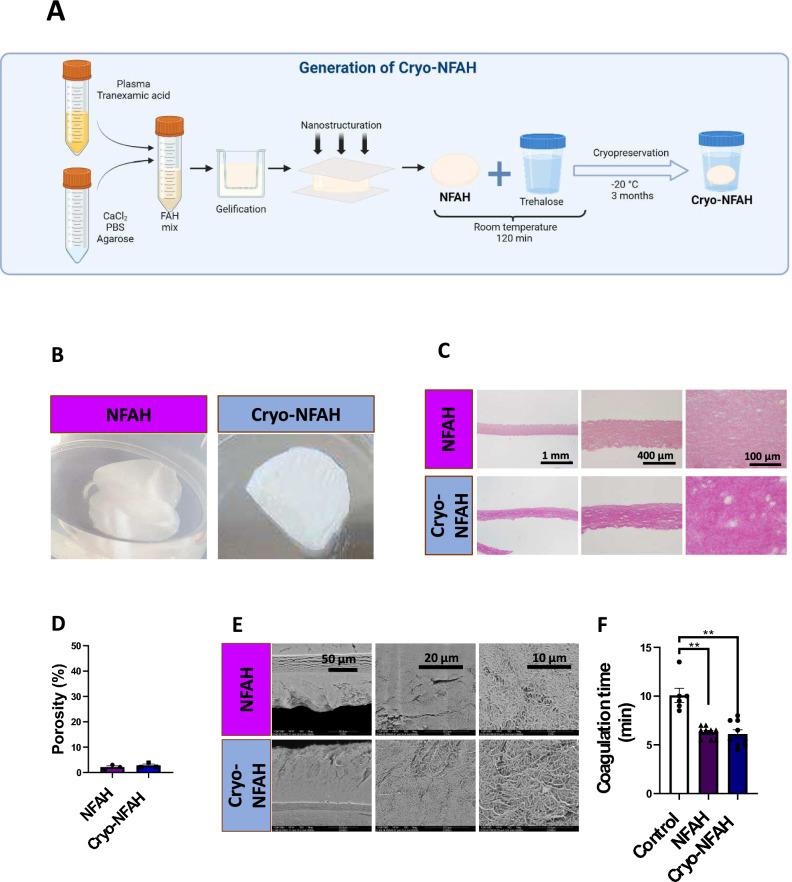 https://cdn.ncbi.nlm.nih.gov/pmc/blobs/6478/11339259/befc76a785a0/41598_2024_70456_Fig1_HTML.jpg