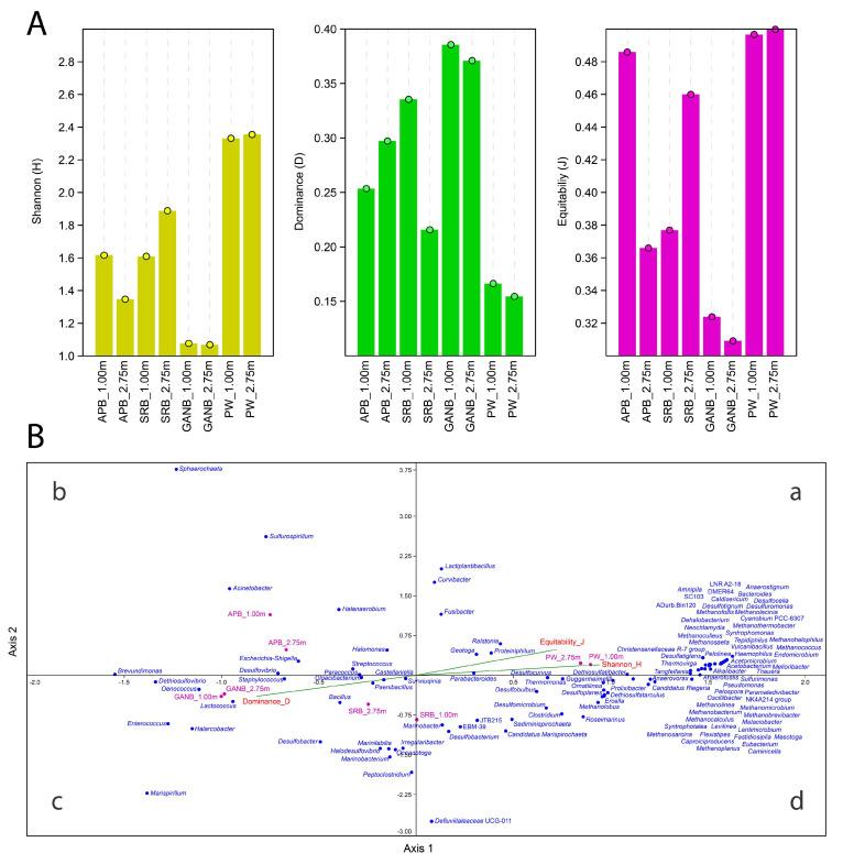 https://cdn.ncbi.nlm.nih.gov/pmc/blobs/6479/10141917/3841cd9271d4/microorganisms-11-00846-g002.jpg