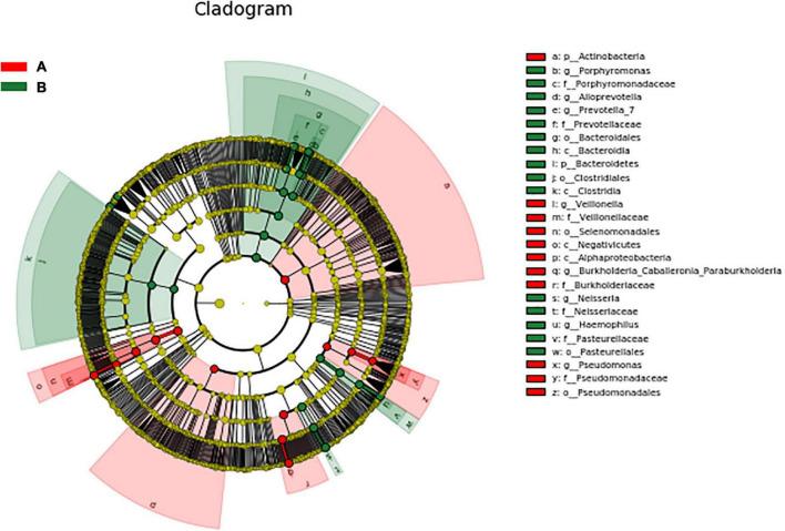 https://cdn.ncbi.nlm.nih.gov/pmc/blobs/647a/9606403/f97338029360/fmed-09-946238-g006.jpg
