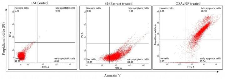 https://cdn.ncbi.nlm.nih.gov/pmc/blobs/647a/9782107/0c88e65dbd80/life-12-02123-g011.jpg