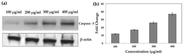 https://cdn.ncbi.nlm.nih.gov/pmc/blobs/647a/9782107/288bf7cf2b5f/life-12-02123-g014.jpg