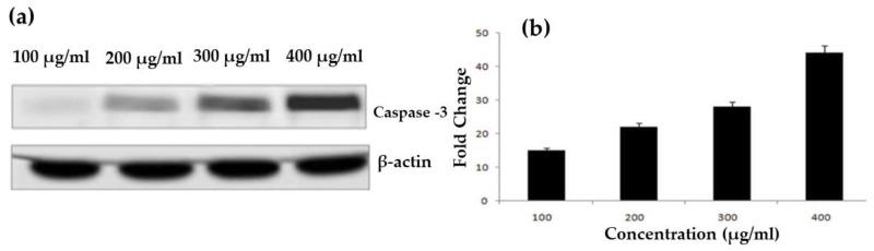 https://cdn.ncbi.nlm.nih.gov/pmc/blobs/647a/9782107/2d7bb3aa9659/life-12-02123-g015.jpg