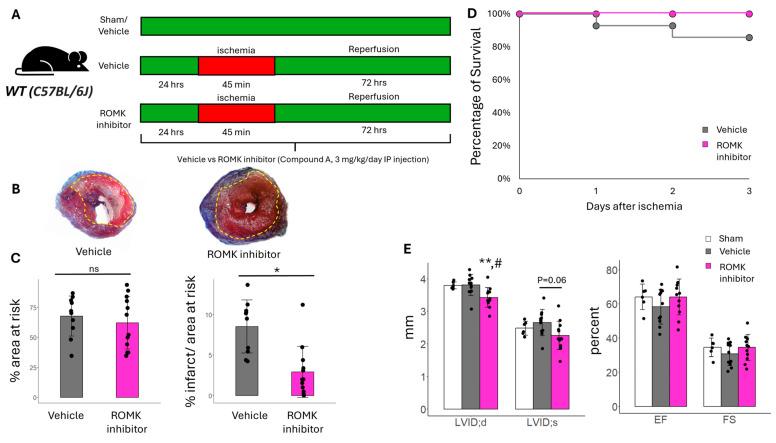 https://cdn.ncbi.nlm.nih.gov/pmc/blobs/647e/12028082/309e60fb3a0a/ijms-26-03795-g001.jpg