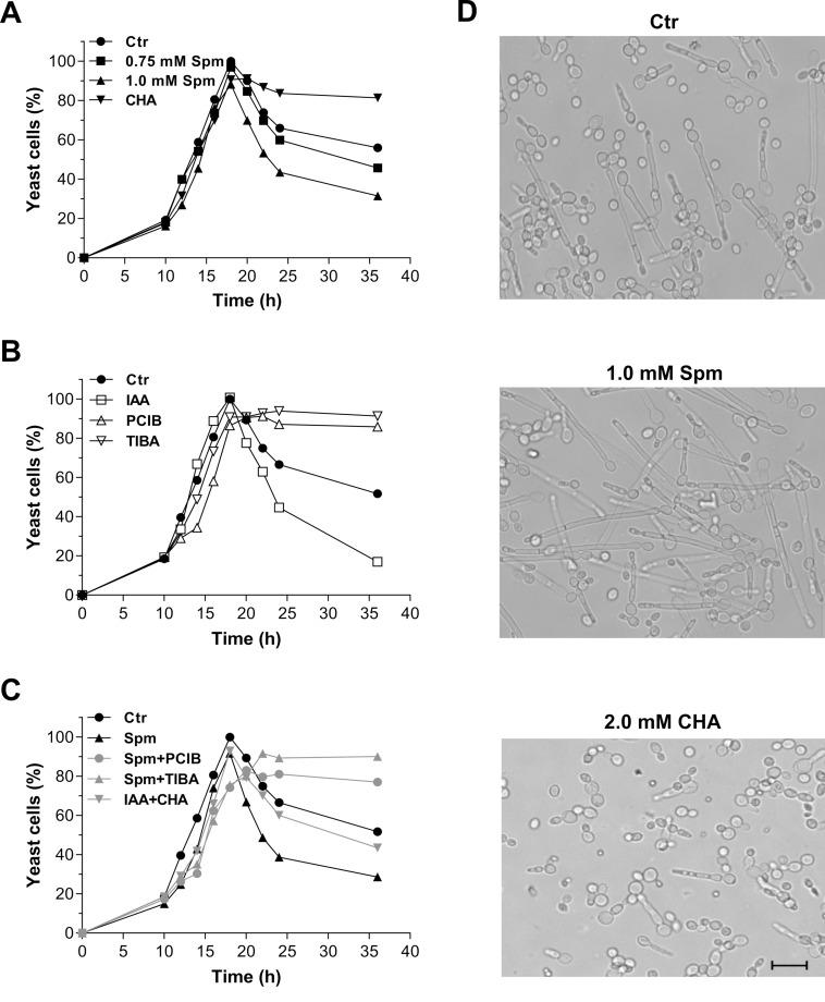 https://cdn.ncbi.nlm.nih.gov/pmc/blobs/647f/5861359/2c94c8406ee7/biolopen-7-029660-g1.jpg