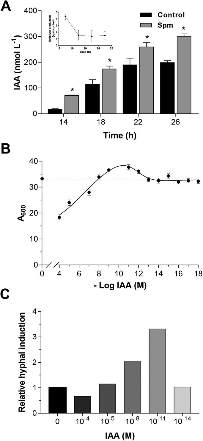 https://cdn.ncbi.nlm.nih.gov/pmc/blobs/647f/5861359/e1d9fa099325/biolopen-7-029660-g4.jpg