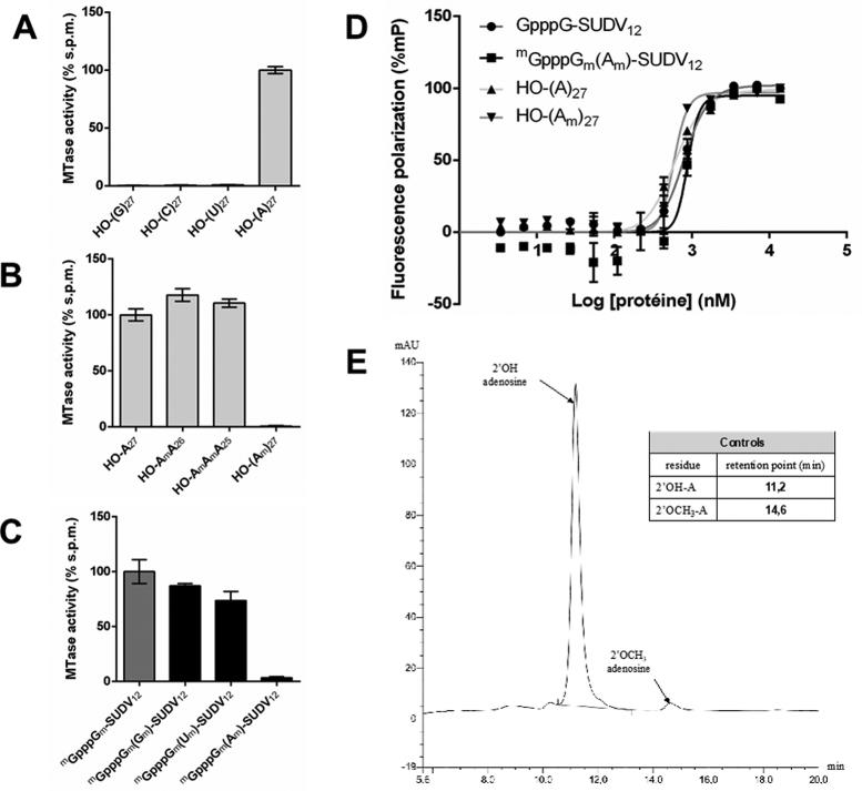 https://cdn.ncbi.nlm.nih.gov/pmc/blobs/647f/6125687/f7a8e4a11200/gky637fig3.jpg