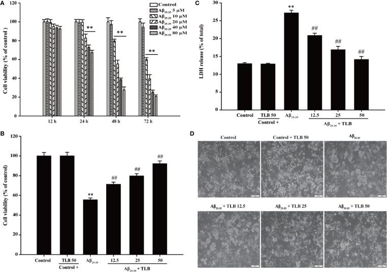 https://cdn.ncbi.nlm.nih.gov/pmc/blobs/647f/7248209/173fec425c24/fphar-11-00584-g001.jpg