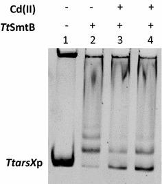 https://cdn.ncbi.nlm.nih.gov/pmc/blobs/6480/5960188/17a79b50b746/12934_2018_918_Fig3_HTML.jpg