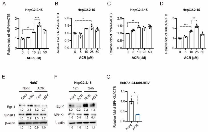 https://cdn.ncbi.nlm.nih.gov/pmc/blobs/6482/5855541/84b8f6081601/ijms-19-00108-g003.jpg