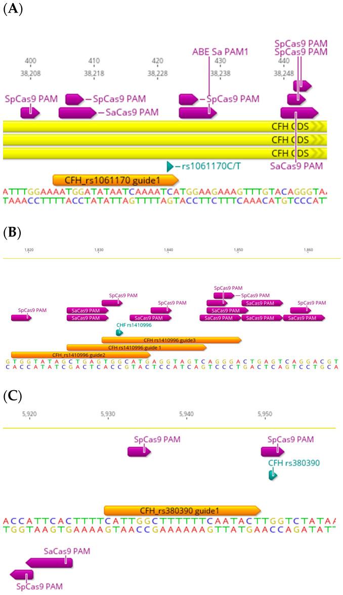 https://cdn.ncbi.nlm.nih.gov/pmc/blobs/6483/10855085/1eb04f6cd0db/ijms-25-01697-g002.jpg