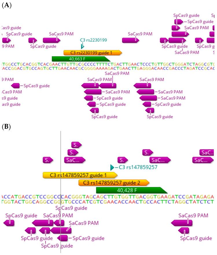 https://cdn.ncbi.nlm.nih.gov/pmc/blobs/6483/10855085/791f20126096/ijms-25-01697-g004.jpg