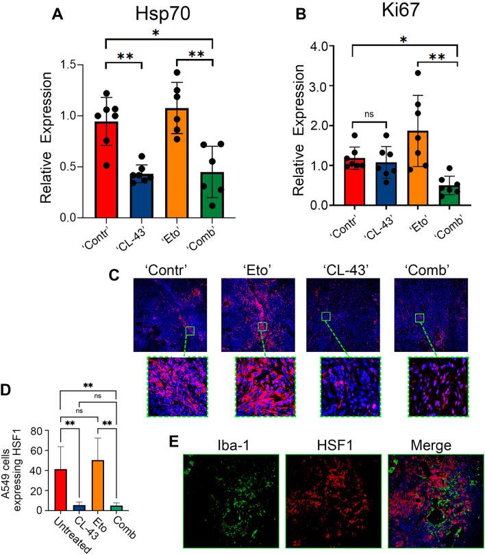 https://cdn.ncbi.nlm.nih.gov/pmc/blobs/6487/10992213/63d6c5683f99/262_2023_3612_Fig2_HTML.jpg