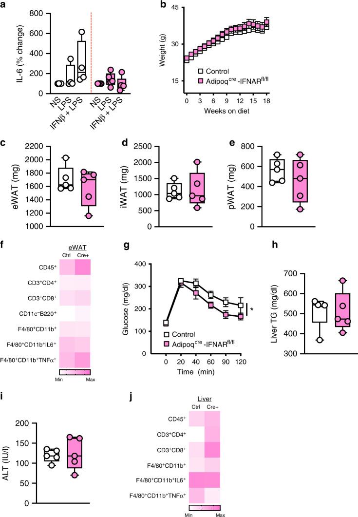 https://cdn.ncbi.nlm.nih.gov/pmc/blobs/6487/7265526/46fe395b19d3/41467_2020_16571_Fig6_HTML.jpg